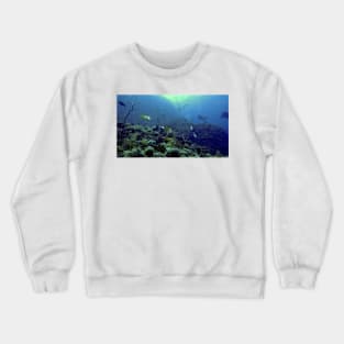 ALMOST AU NATUREL Crewneck Sweatshirt